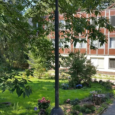 Hlaska 2*